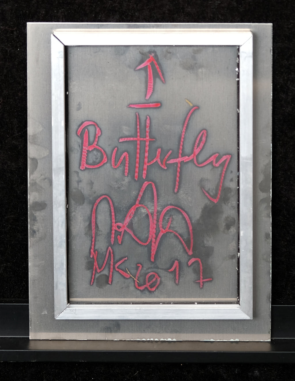 Köster, Matthias - Butterfly - 2017- Öl auf Aluminium - handsigniert