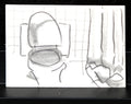 Damsté, Christiaan Paul - Bleistiftzeichnung - Original - wc - handsigniert