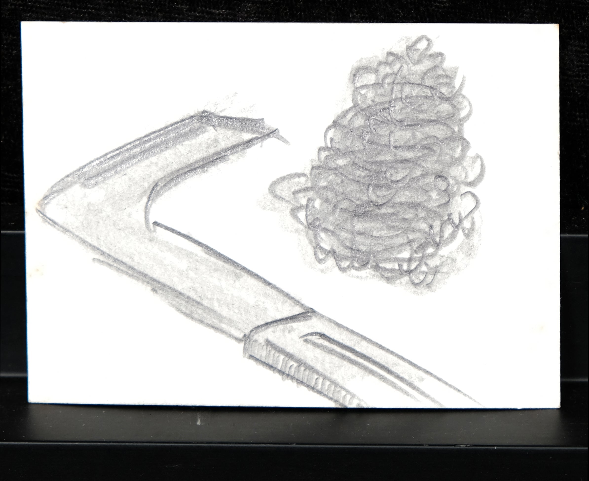 Damsté, Christiaan Paul - Bleistiftzeichnung - Original - denneappel - handsigniert