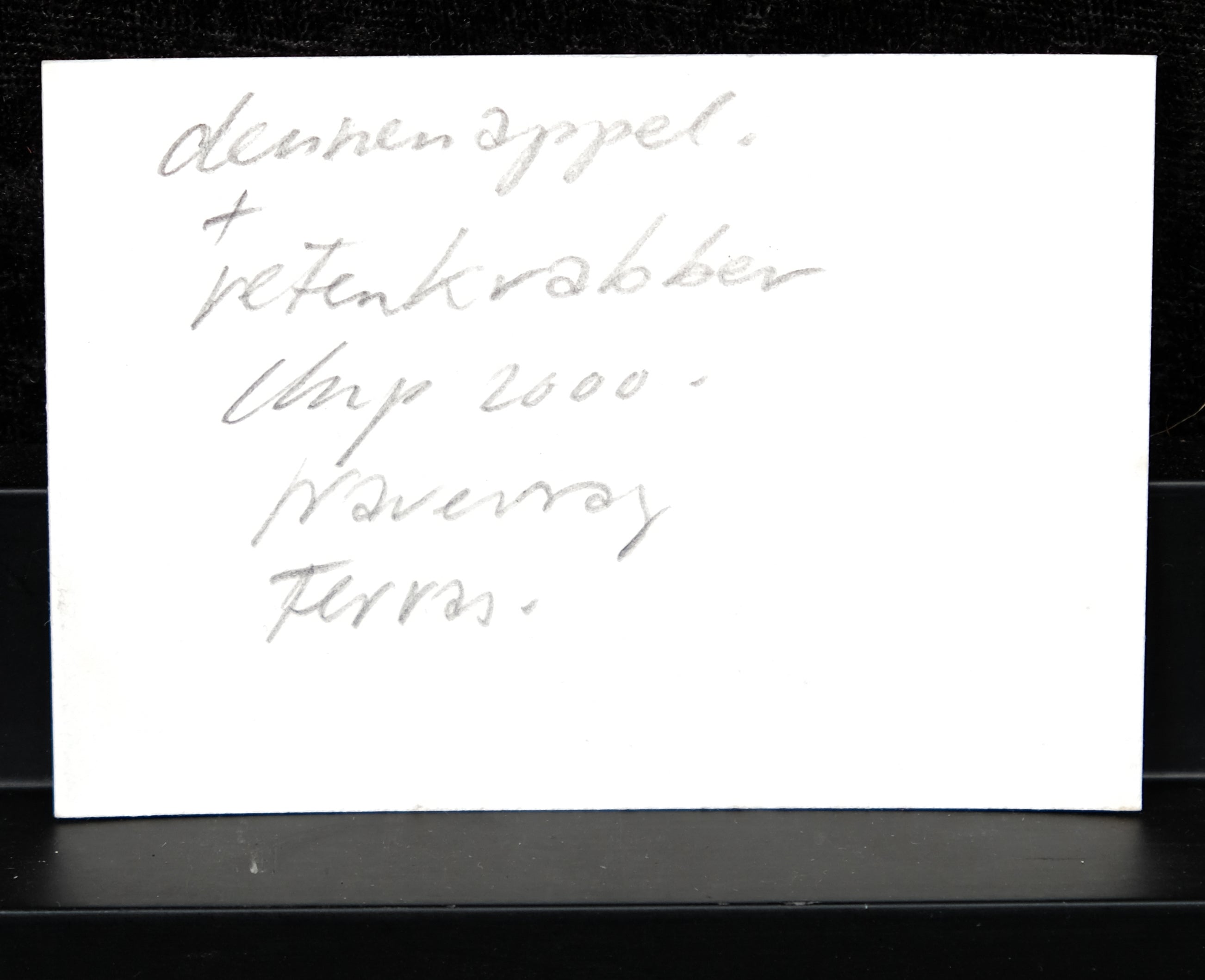 Damsté, Christiaan Paul - Bleistiftzeichnung - Original - denneappel - handsigniert