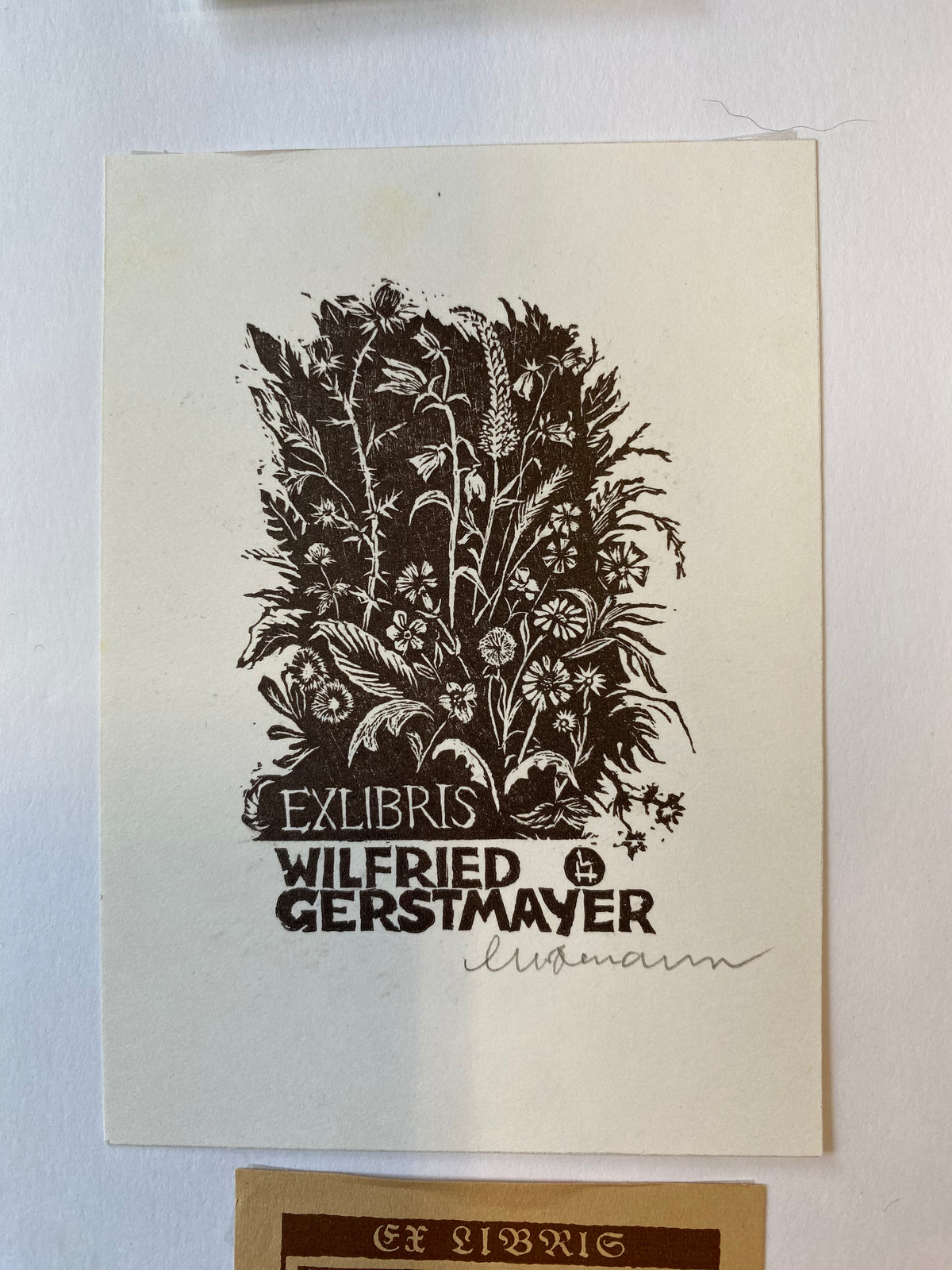 Ex Libris - Leopold Hofmann - Wilfried Gerstmayer