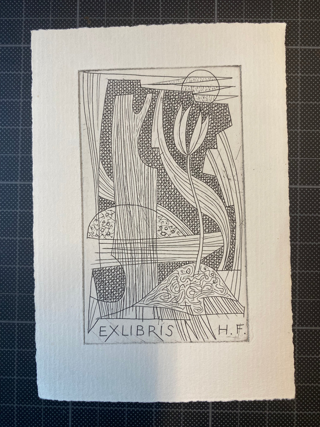 Ex Libris - Dusan Janousek - H. F.