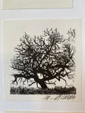 Ex Libris - M. ? - unbekannter Eigner