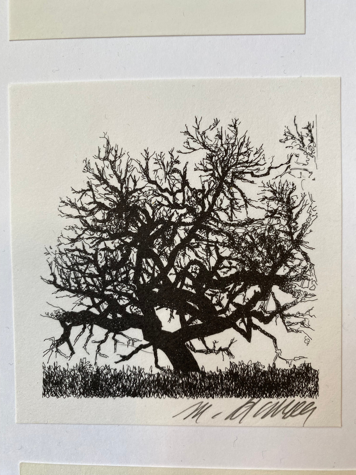 Ex Libris - M. ? - unbekannter Eigner