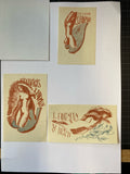 Ex Libris - Vele - S. Forman - 3 Stück