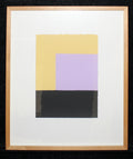 Schur, Richard - o. T. II, 2007 - Gouache auf Papier - gerahmt
